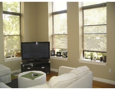 20 Mcternan St unit 207, Cambridge, MA 02139 - photo 6