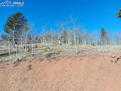View of local wilderness