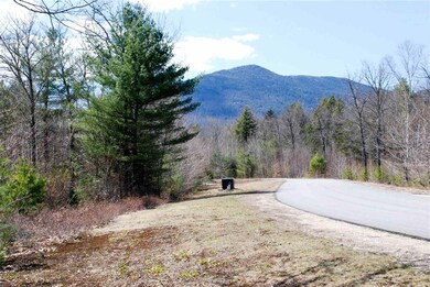 Lot 106 Grandview Rd unit 106, Conway, NH 03818 - photo 5
