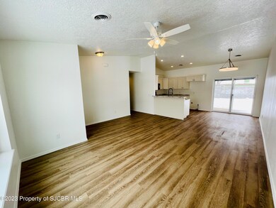 309 Valle Bonita Dr, Farmington, NM 87401 - photo 5