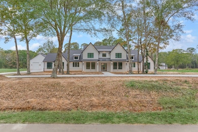 18332 Woodstream Crossing Rd, Montgomery, TX 77316 - photo 5