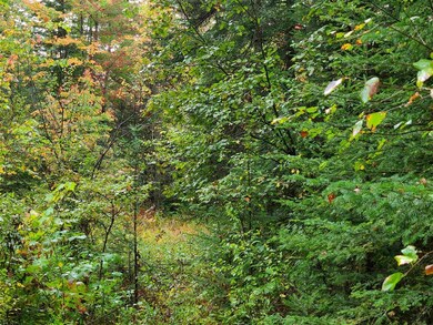 0 Moose Trail Rd unit 4884195, Bethlehem, NH 03574 - photo 7