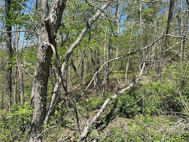 Lot #1 Sugartree Rd, Alkol, WV 25521 - photo 3