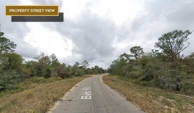 0 Canterbury Dr, Chipley, FL 32428 - photo 4