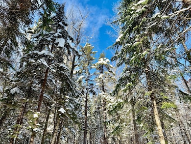 4814 New York 374, Merrill, NY 12955 - photo 7