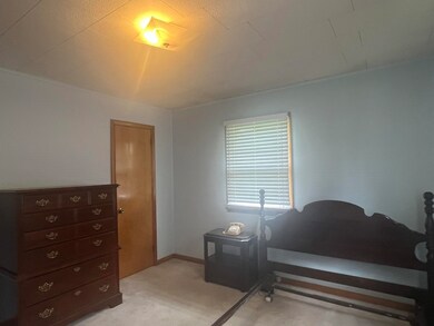 665 Cochran Ave, Mammoth Spring, AR 72554 - photo 6