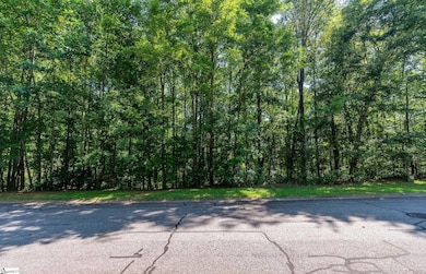 313 Laurel Valley Way, Travelers Rest, SC 29690 - photo 2