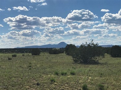 64 E2 Off of Old Hwy 66, Ash Fork, AZ 86320 - photo 5