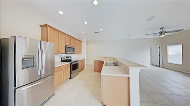 18908 Quarry Badger Rd, Land O Lakes, FL 34638 - photo 5