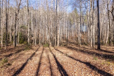 4637 Howe Rd, Greer, SC 29651 - photo 6