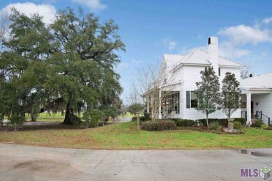 The Live Oak is almost 200 years old and is regist