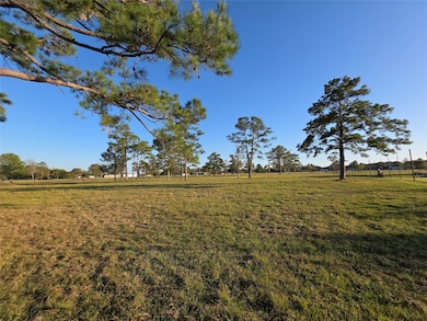 730 County Road 6610, Dayton, TX 77535 - photo 4