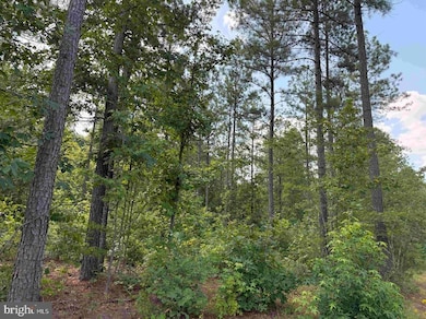 0 Dogwood Drive (Tract: Jr Bedford-Bowles_sims-3) unit VAFN2000524, Columbia, VA 23038 - photo 6