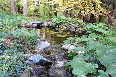 517 Hitzel Terrace, Rutland, VT 05701 - photo 6