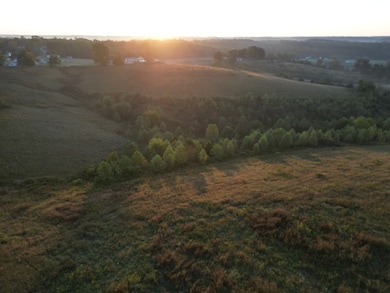 0 Casey Creek Rd, Knifley, KY 42753 - photo 6