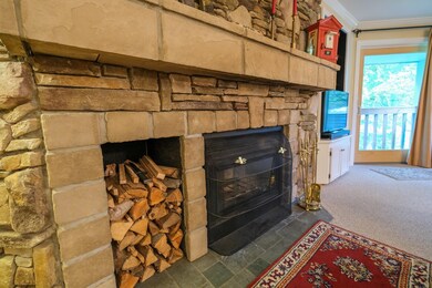 32 Route 103 S unit F4, Ludlow, VT 05149 - photo 5