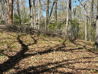 0 Stewkley Ln, Bella Vista, AR 72714 - photo 2