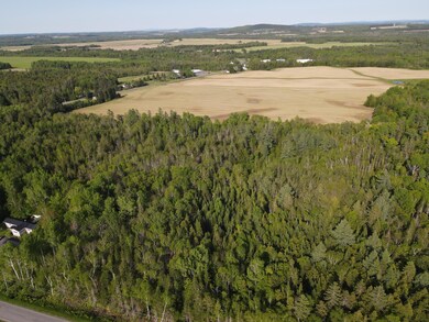 dji_fly_20250603_171830_133_174916042940