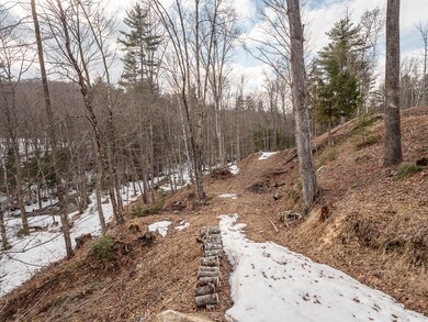 84 Howard Pond lot-8