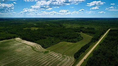 2965 Bankton Rd SW, Baudette, MN 56623 - photo 6