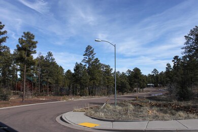 200 W Pine Haven Cir, Show Low, AZ 85901 - photo 7