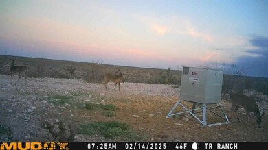 TR Ranch NE Tract 2, Langtry, TX 78871 - photo 6