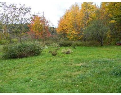 Yard/Garden.