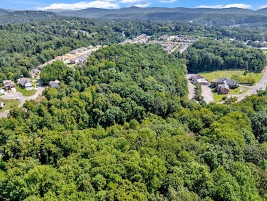 2520 Sweeney Hollow Rd, Center Point, AL 35215 - photo 7