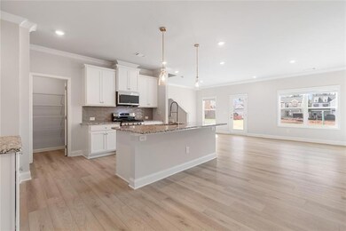 61 Avian Way, Auburn, GA 30011 - photo 6