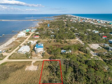 308 Quinn St, St. George Island, FL 32328 - photo 7