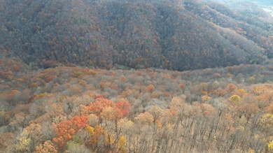 0` Hondo Ln, True, WV 25951 - photo 5