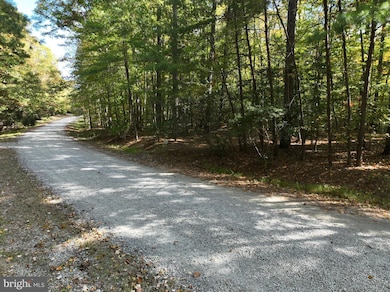 00 Old Camp Rd, Lanexa, VA 23089 - photo 5