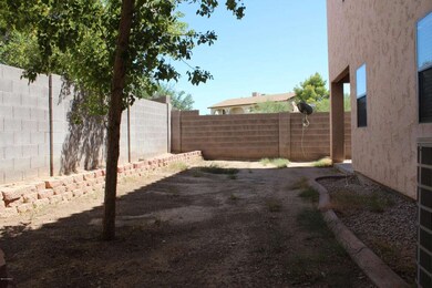 Backyard02