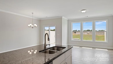 Photos are representative