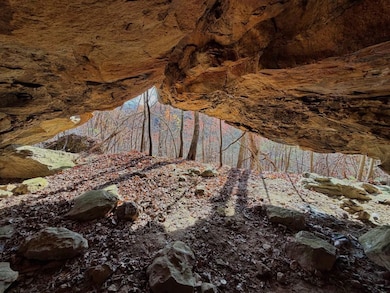 Threemile Creek Rd Lot unit Wp001, Louisa, KY 41230 - photo 3