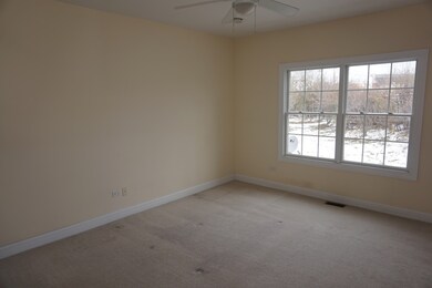 1418 N Charles Ave unit 100, Naperville, IL 60563 - photo 7