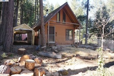 4990 Indian Creek Rd, Douglas City, CA 96024 - photo 6