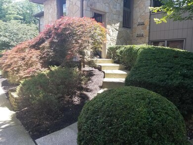 Entrance Steps