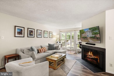 12116 Greenway Ct unit 202, Fairfax, VA 22033 - photo 4