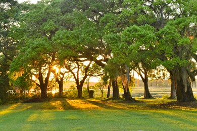 4420 Wando Farms Rd, Awendaw, SC 29429 - photo 3