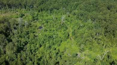 DJI_20250624102523_0009_D