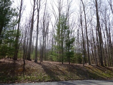 343 Far Country Dr unit 8, Daniels, WV 25832 - photo 3