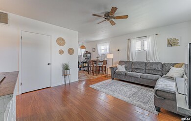 213 Nugent Place, Lincoln, IL 62656 - photo 3