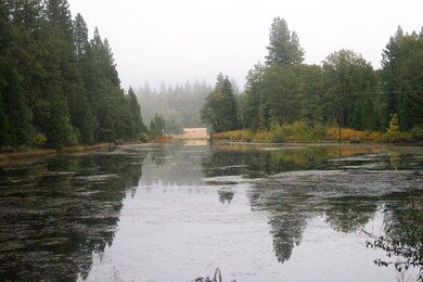 Pond across the street