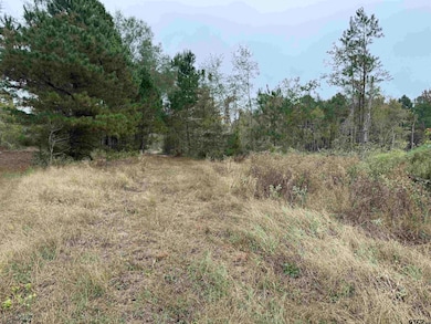 TBD Cr 314 - 15 Acres, Henderson, TX 75652 - photo 7