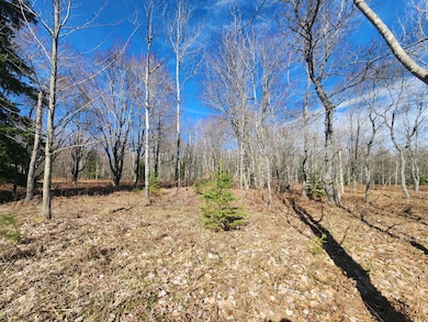 Lot 1829 Sandpiper Trail, Otsego Lake Township, MI 49735 - photo 3