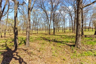 View from back of property.