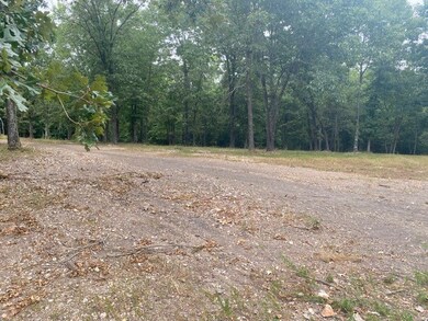 15905 Cow Face Rd, Lowell, AR 72745 - photo 6