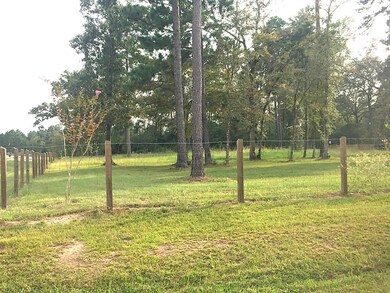 26001 W Lake View Ct, Hockley, TX 77447 - photo 4