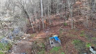 1704 N Main Ave, Erwin, TN 37650 - photo 4